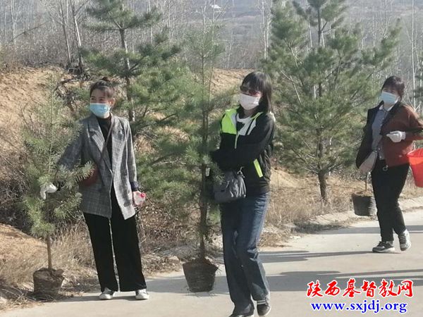 榆林教会积极参加春季义务植树活动